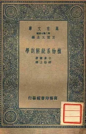 植物系统解剖学