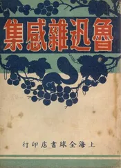鲁迅杂感集