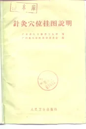 针灸穴位挂图说明