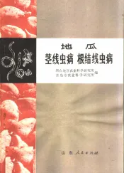 地瓜茎线虫病  根结线虫病