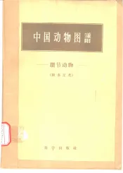 中国动物图谱  环节动物
