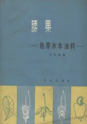 腰果  热带木本油料