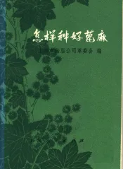 怎样种好蓖麻