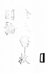金主币救国论