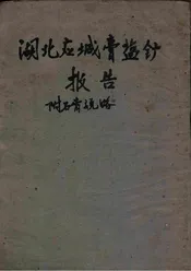 湖北应城膏盐矿报告