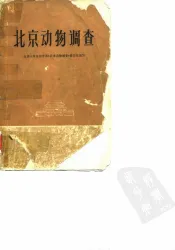 北京动物调查