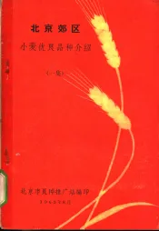 北京郊区  小麦优良品种介绍  一集