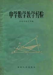 中学数学教学经