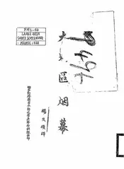 大地区烟幕