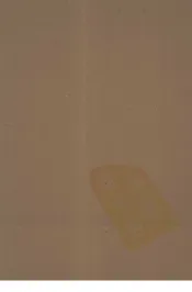 八旗通志初集  6