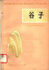 谷子