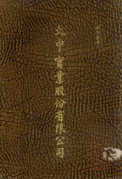 大中实业股份有限公司