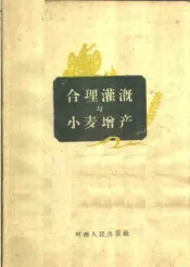 合理灌溉与小麦增产