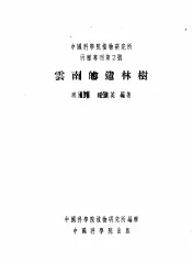 云南的造林树