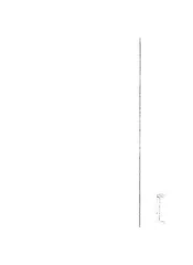 尼罗河与埃及之文明