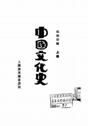 中国文化史