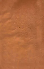 宋大家苏文忠公文钞  卷15-17