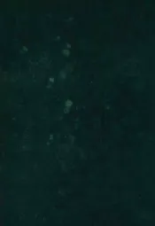 教育杂志  第2卷  1-6