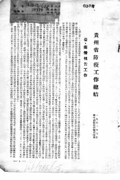 贵州省防疫工作总结