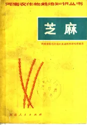 芝麻