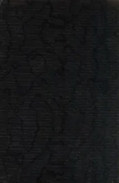 中外教育史
