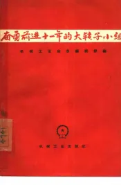 奋勇前进十一年的大转子小组