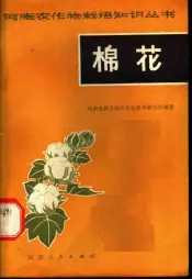 棉花