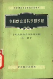 水稻螟虫及其预测预报
