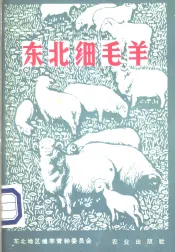 东北细毛羊