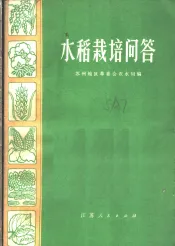 水稻栽培问答