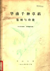 华南千种草药鉴别与功效