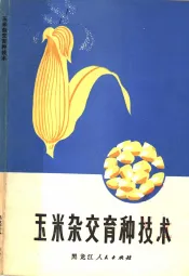 玉米杂交育种技术