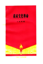谈谈文化革命
