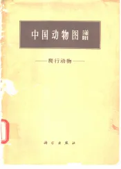 中国动物图谱  爬行动物