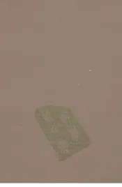 八旗通志初集  22