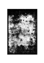 名家近作集