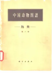 中国动物图谱  鸟类  第3册