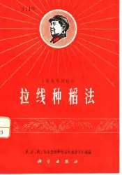 水稻栽培新技术  拉线种稻法