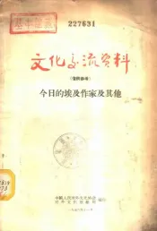 今日的埃及作家及其他