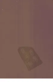 八旗通志初集  17