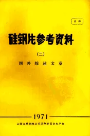硅钢片参考资料  2  国外综述文章