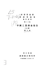 中国工业调查报告
