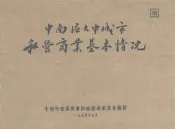 中南区大中城市私营商业基本情况
