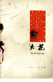 火花  惠民地区短篇小说集