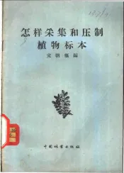 怎样采集和压制植物标本