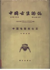中国标准化石  第3分册  无脊椎动物