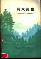杉木栽培