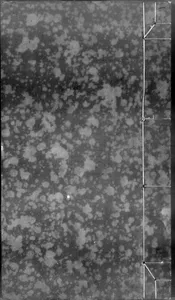 增廣注釋音辯唐柳先生