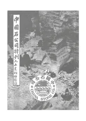 中国石公司特刊