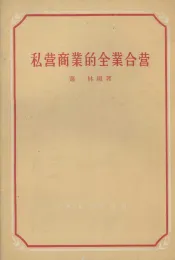 私营商业的全业合营